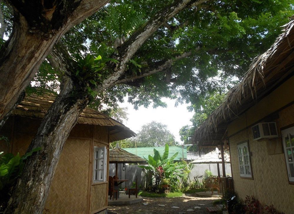 Tia Mers Guest House Puerto Princesa Exterior photo